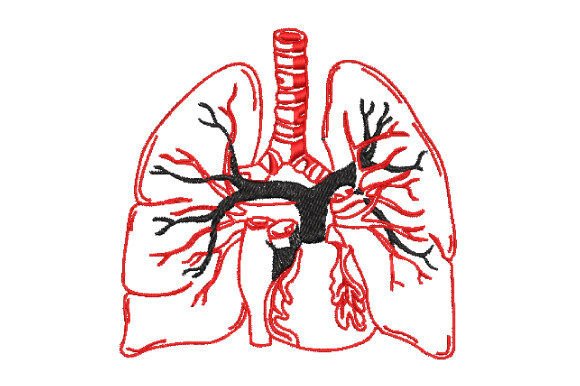 Halloween Lung Anatomy: A Designer’s Craft Fair Review